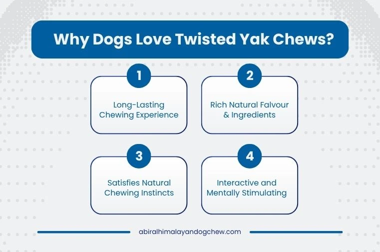 why dogs love twisted yak chews from nepal