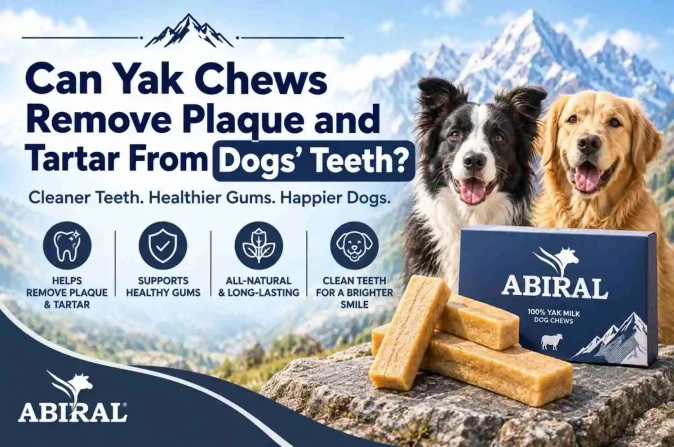 Can Yak Chews Remove Plaque and Tartar From Dogs' Teeth?