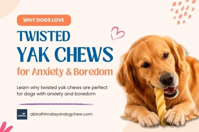 How Twisted Yak Chews Help Relieve Dog Anxiety and Boredom